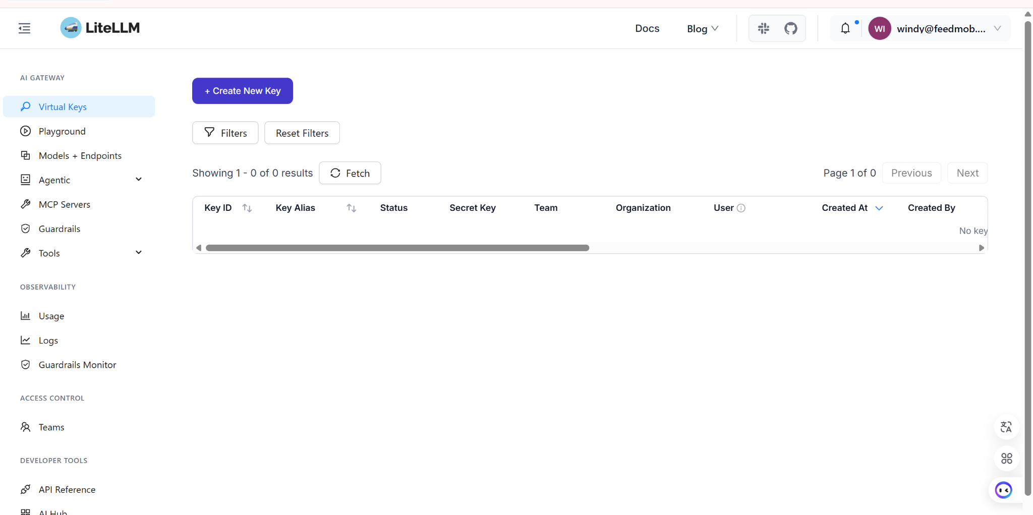 LiteLLM Virtual Keys page
